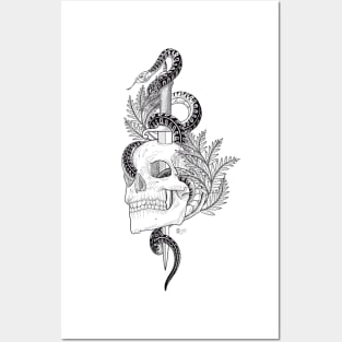 Skull and Snake Posters and Art